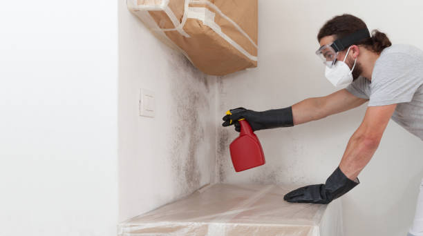 Professional Mold Testing technician working in Bay Shore, NY
