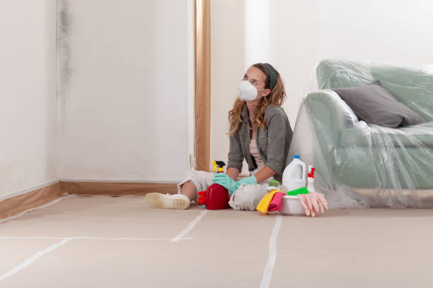 Reliable Mold Testing contractor in Bay Shore, NY by WQB Mold Removal